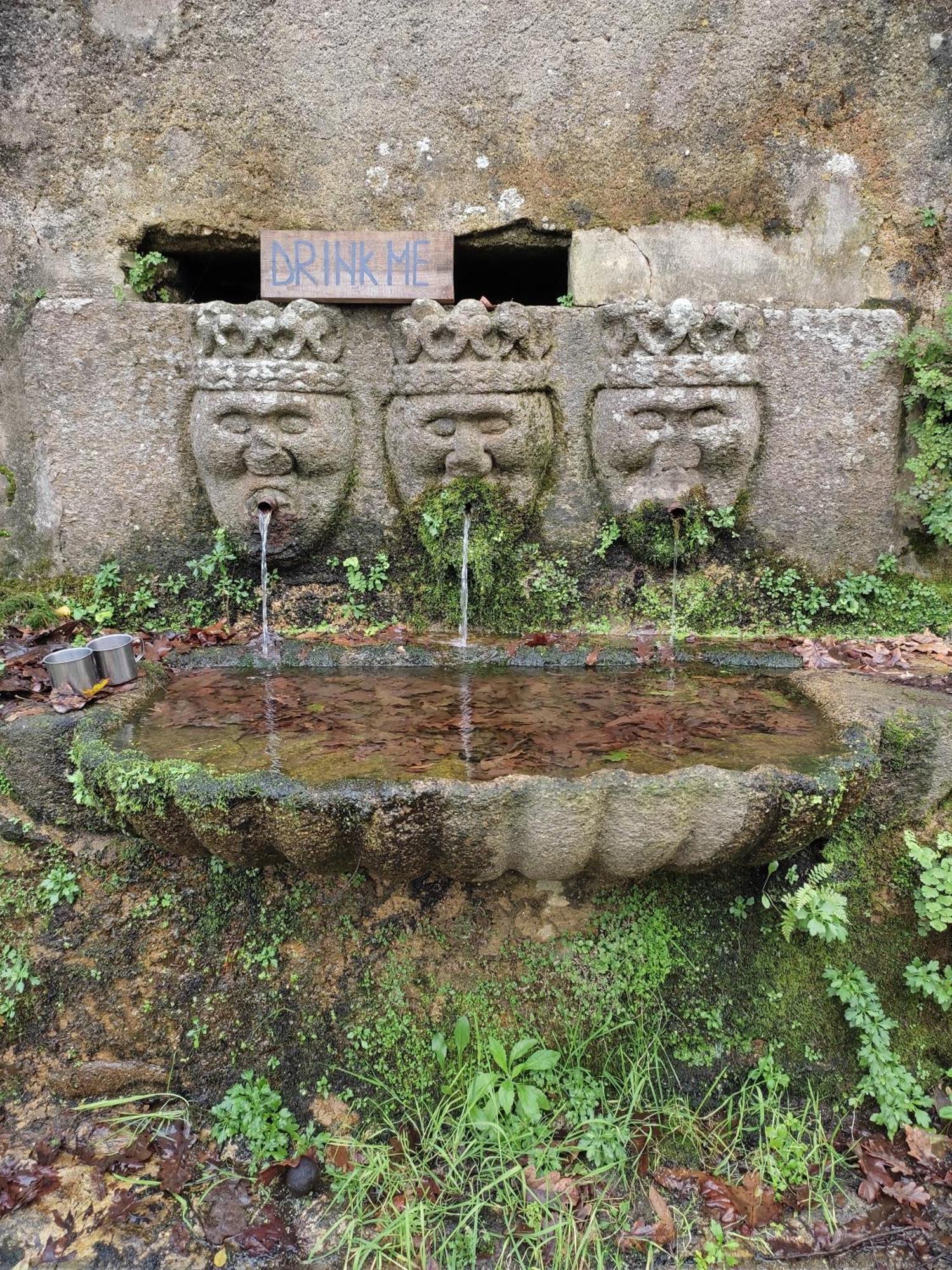 Associacao Quinta Das Relvas Branca Екстериор снимка